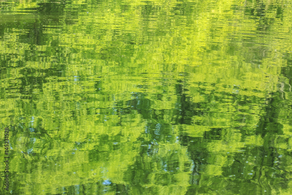 Surface of quiet water with reflection of trees Surface of quiet water with reflection of trees