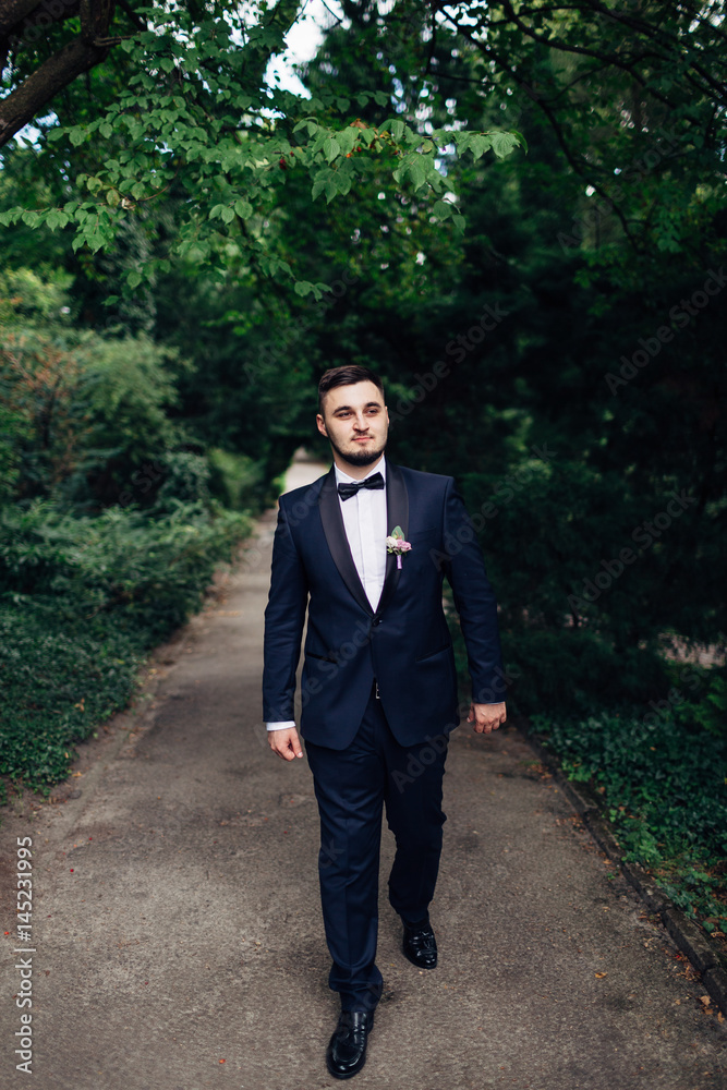 The handsome groom walking along park The handsome groom walking along park