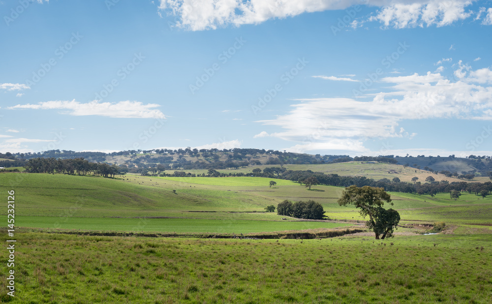 Fototapeta premium Beautiful landscape in the regional area of Australia.