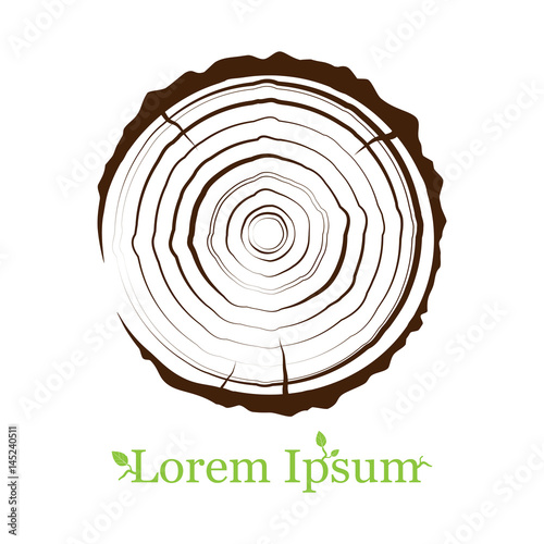 cross section of the trunk with tree rings. Wood sign icon. Tree growth rings. flat icon. Vector illustration. Logo.