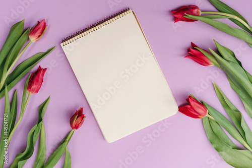 Fototapeta Naklejka Na Ścianę i Meble -  Notebook mock up for artwork with red tulips on violet background. View from above.
