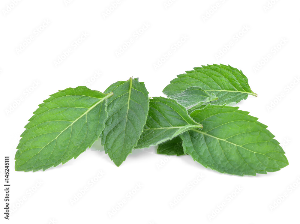 Fresh mint leaves isolated on white Fresh mint leaves isolated on white