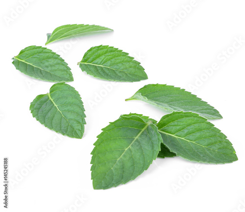 Fresh mint leaves isolated on white © evegenesis