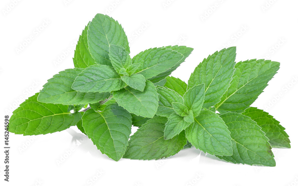 Fresh mint leaves isolated on white Fresh mint leaves isolated on white
