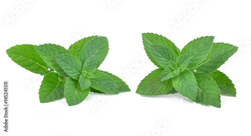 Fresh mint leaves isolated on white