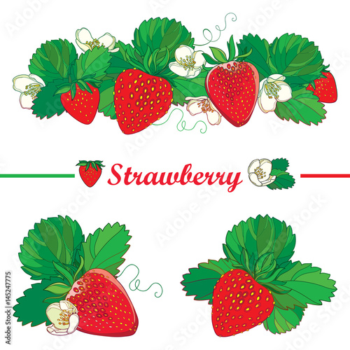 Vector set with outline Strawberry, bunch of red berry, ornate flower and green leaves isolated on white background. Fruit elements with ripe strawberry in contour style for summer design.