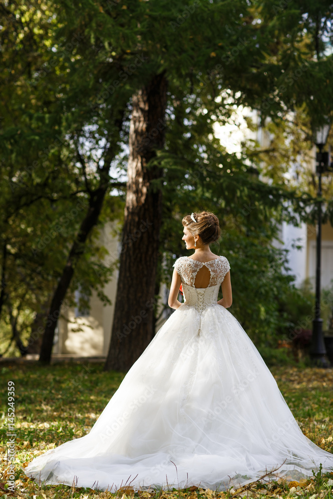 Look from behind at bride posing in her luxury dress on the lawn