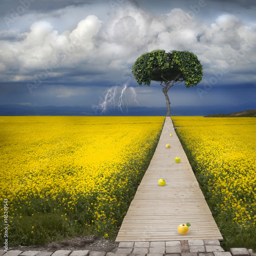 Biblical apple of temptation