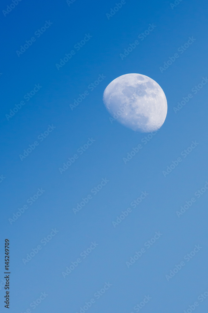 Half moon appear in the afternoon time in the sky with brach of tree at the foreground