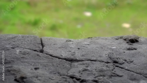 Wallpaper Mural Old cracked concrete against green grass. Damaged building. Dolly shot.  Torontodigital.ca