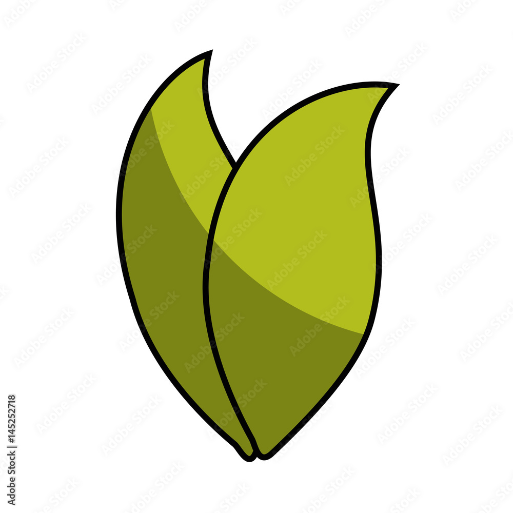 leafs plant decorative icon vector illustration design
