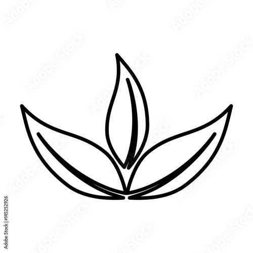 leafs plant decorative icon vector illustration design