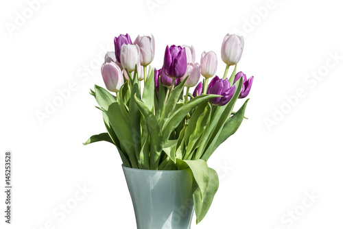 Spring bouquet of pink and white tulips isolated on the white background in bucket version 3 photo