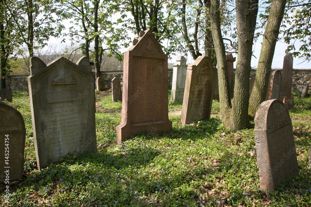 Naklejka premium old jewish cemetery
