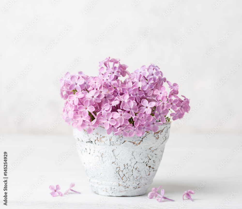 Small  pale pink bouquet of lilac  in clay  pot  against a white  wall.