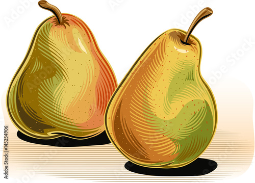 Two pears on white background