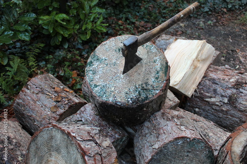 Axt im Stammholz mit Moosbefall im Garten