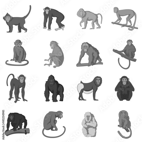 Different monkeys icons set monochrome