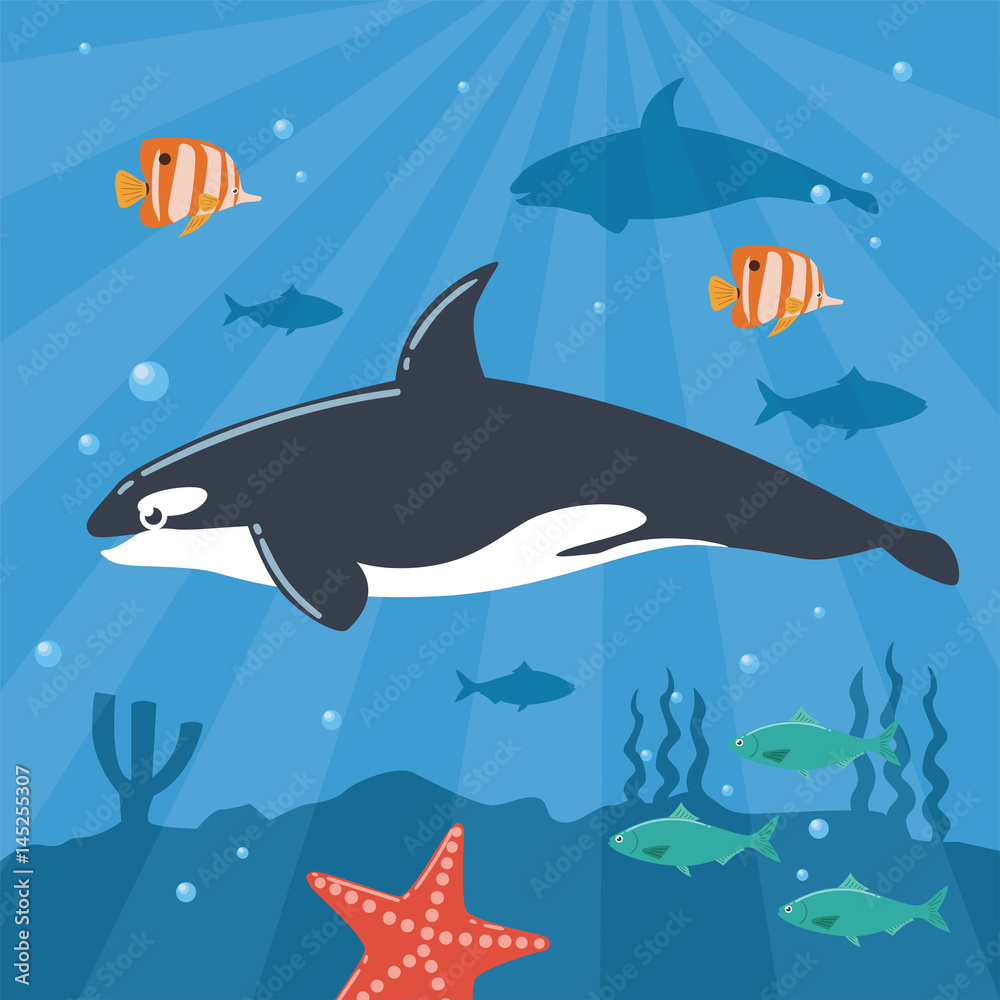 Illustration of Killer Whale Underwater Illustration of Killer Whale Underwater