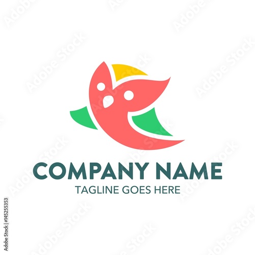 Unique And Colorful Owl Logo