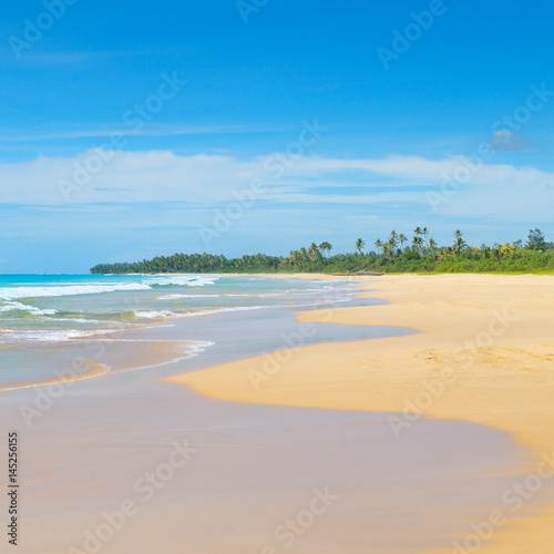 Fototapeta Naklejka Na Ścianę i Meble -  Beautiful ocean, long sandy beach and tropical vegetation