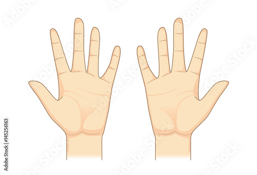 Two palm hand vector on isolated. Illustration about Human body part.