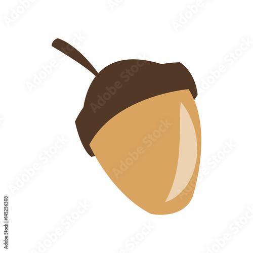 Acorn icon. Healthy organic and fresh man theme. Isolated design. Vector illustration