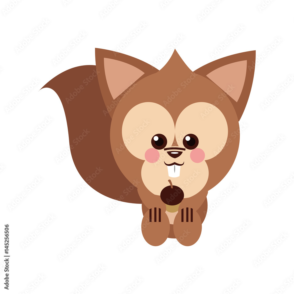 Fototapeta premium Squirrel cartoon icon. Animal cute adorable and creature theme. Isolated design. Vector illustration