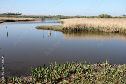 Stodmarsh National Nature Reserve