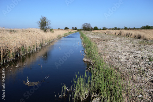 Stodmarsh National Nature Reserve photo