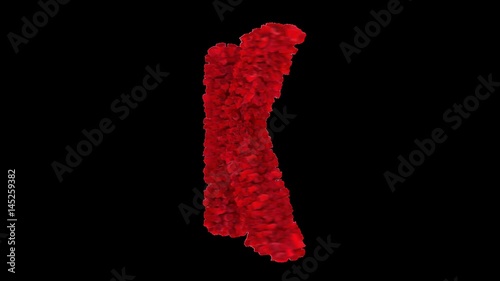 3D letter K made of red roses appearing and seamless turning with alpha channel