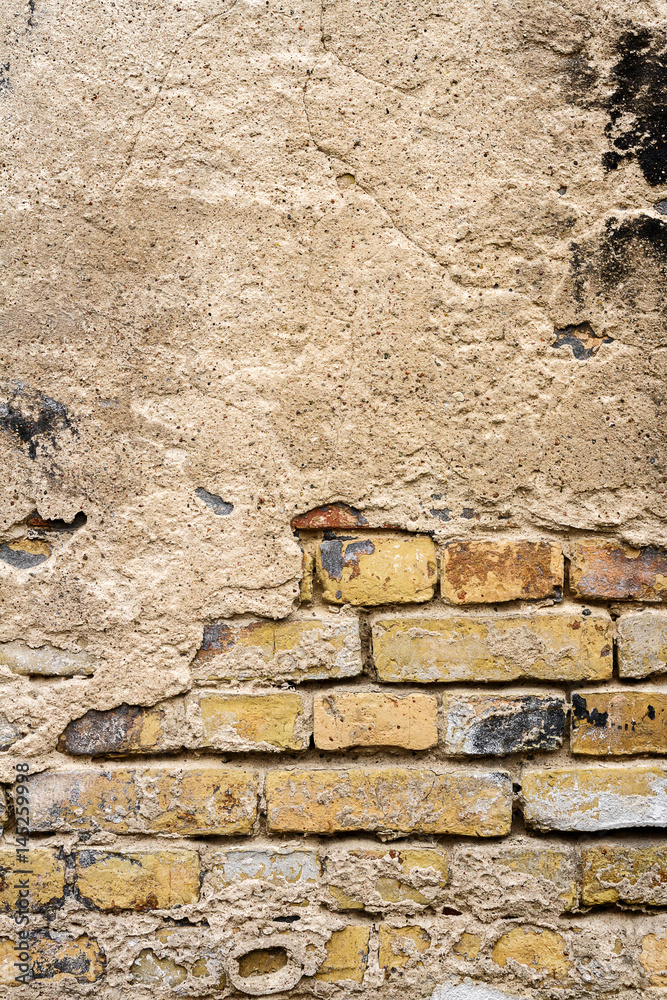 Fototapeta premium Old brick wall
