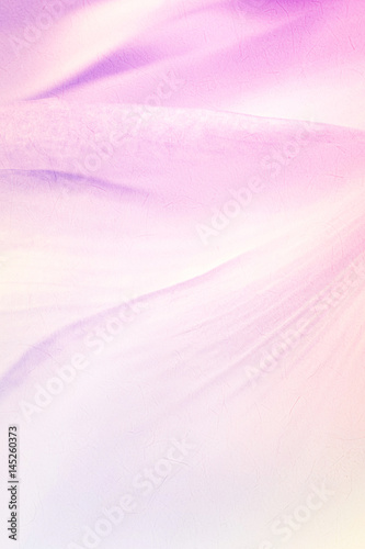 sweet color flower petals in soft color and blur style for background