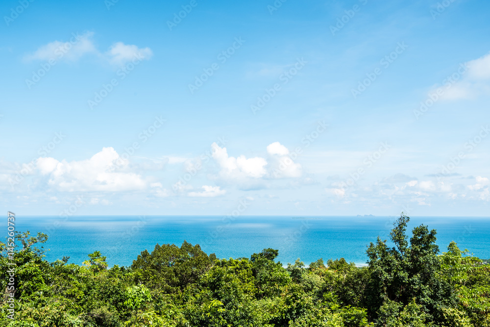 Seascape from mountain with green trees