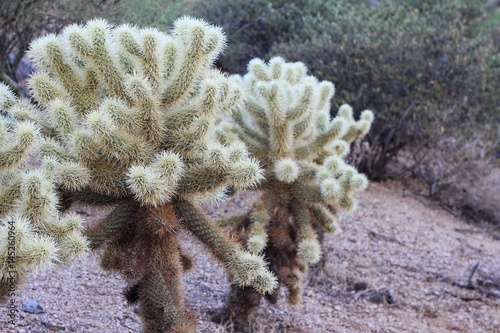 Photography Pinnacle Peak Park - Scottsdale