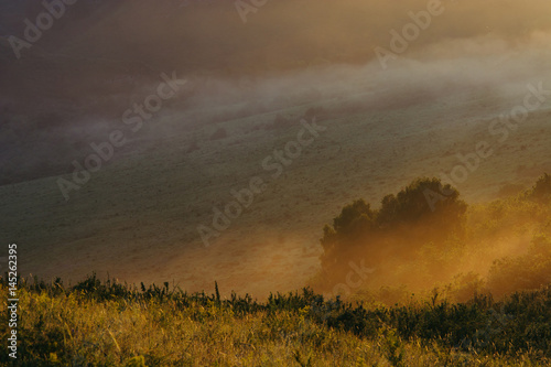 Mountainous hills in the morning mist. Dawn. Altai. Yellow. Red.