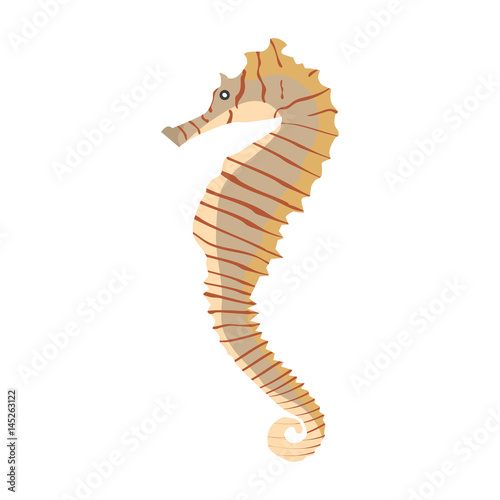 Vector illustration of a colorful seahorse