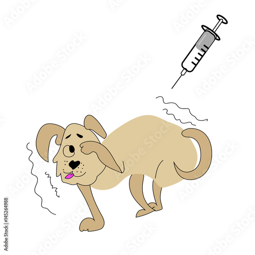 In the picture the dog is brown afraid of the EpiPen