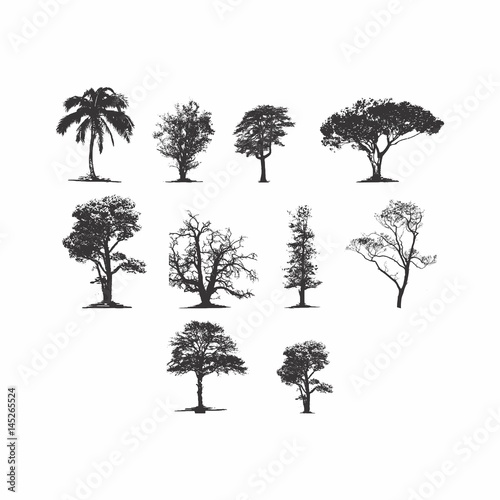 Set of Silhouette Tree Vector Design