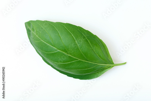 Fresh Basil Leaf Isolated on White. Top View.