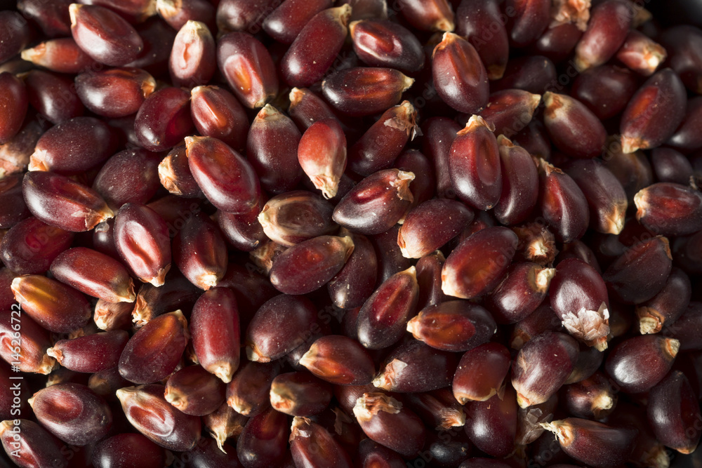 Raw Organic Ruby Red Pop Corn Raw Organic Ruby Red Pop Corn