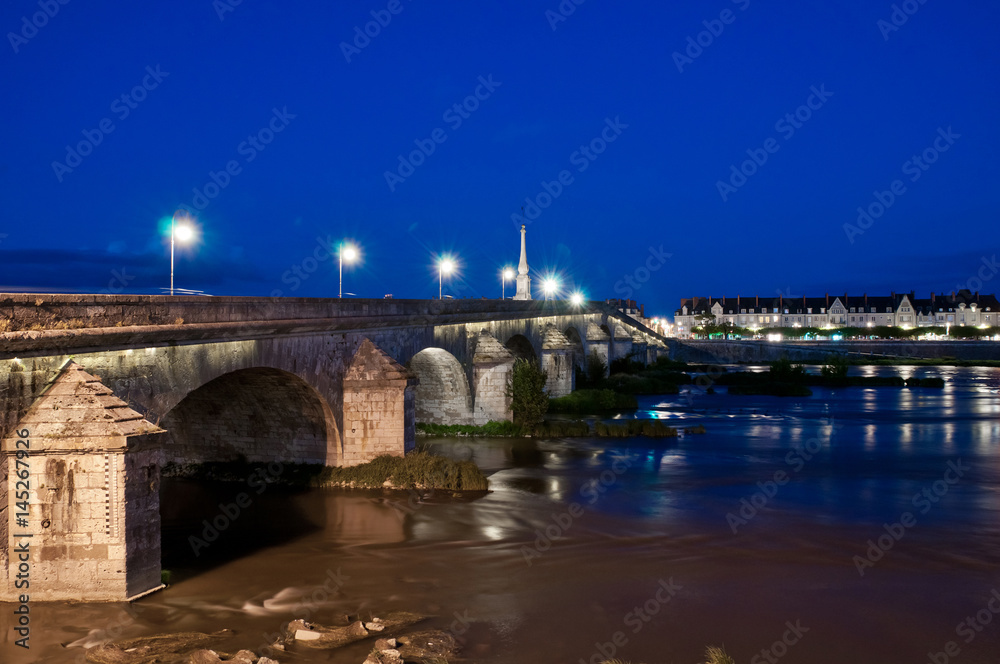Old Bridge in Blois, Loire-et-Cher, Centre, France
