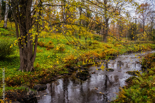 Autumn landscape. Stream in the Oranienbaum Park. Saint-Petersburg 2016.  © sablinstanislav