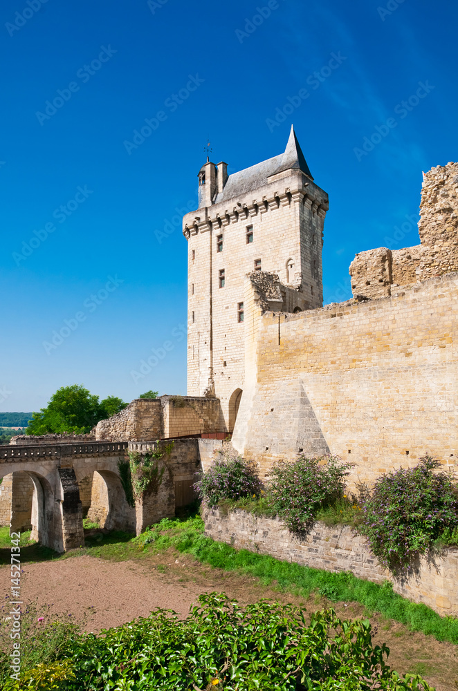 Chinon chateau, France
