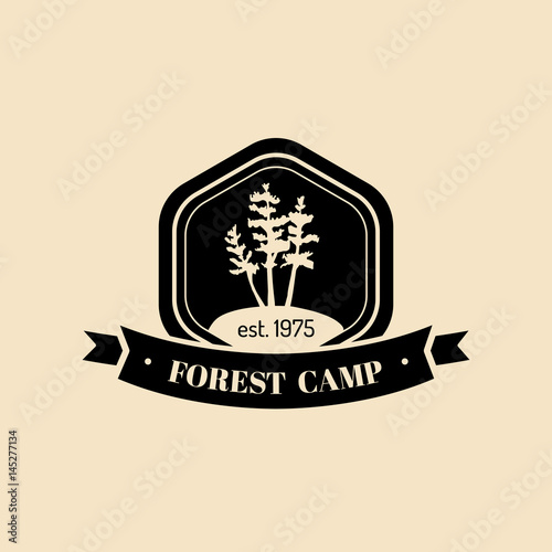 Vector authentic camp logo. Tourist sign with hand drawn pines illustration. Retro hipster label of outdoor adventures.