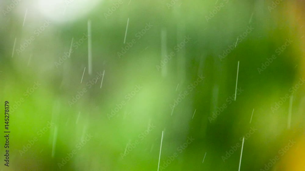 slow motion footage of rain drops falling against a green forest background