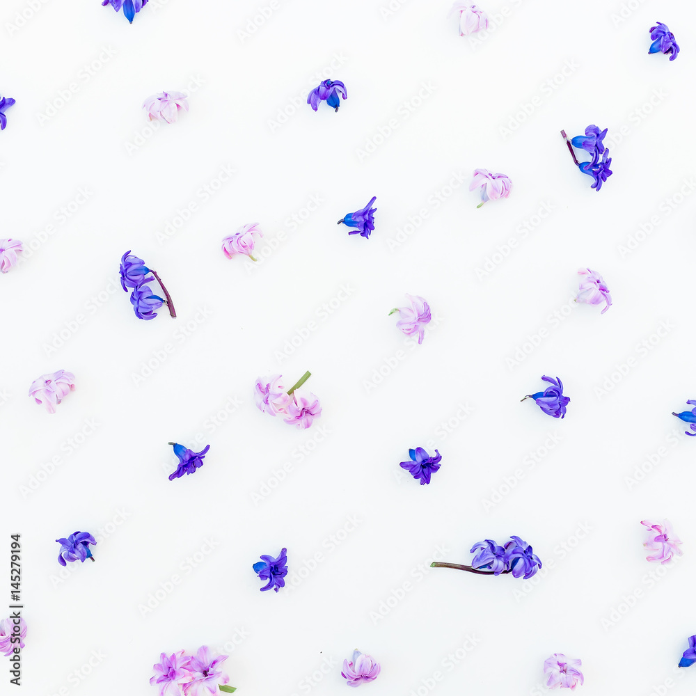 Floral pattern of blue hyacinth flowers, petals on white background. Flat lay, top view.