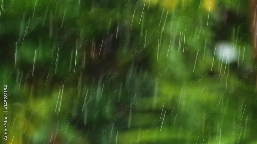slow motion footage of rain drops falling against a green forest background