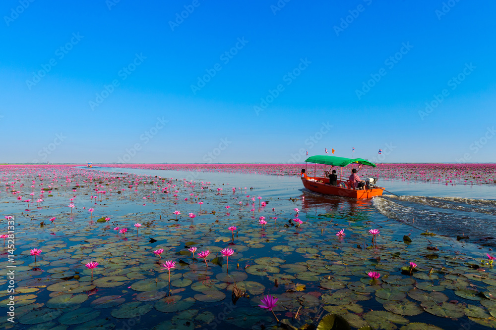 Red Lotus Lake Udon Thani