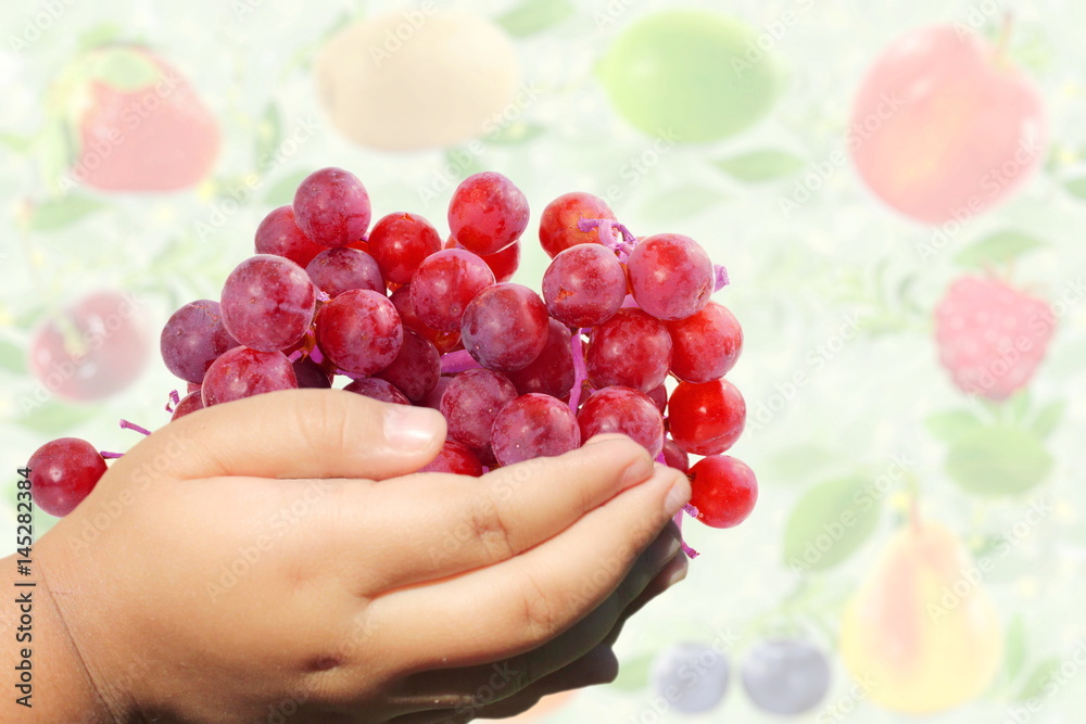 fresh red grapes in hand in unfocused fruit background fresh red grapes in hand in unfocused fruit background